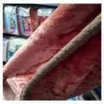 پتو نوجوان طرح برجسته خرسی رنگ قهوه ای - تصویر 3